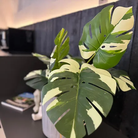 Διαμέρισμα Center -