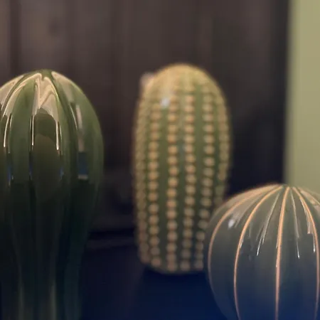 Center - Μπρατισλάβα